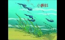 小蝌蚪视频国产电视剧,国产电视剧的青春旋律