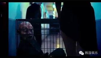 国产19禁高清视频