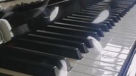 温暖国产钢琴纯音乐视频,国产钢琴纯音乐之旅