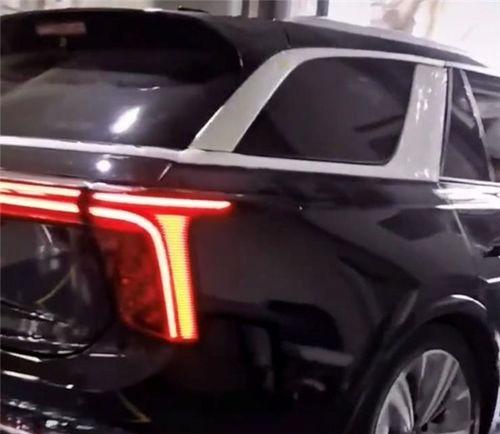 国产库里南最新视频