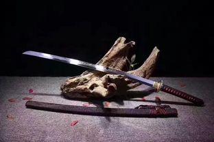 国产武士刀视频,国产武士刀的精湛工艺与传奇魅力