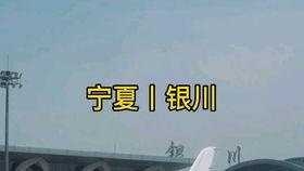 国产酒庄的视频